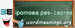 WordMeaning blackboard for ipomoea pes-caprae